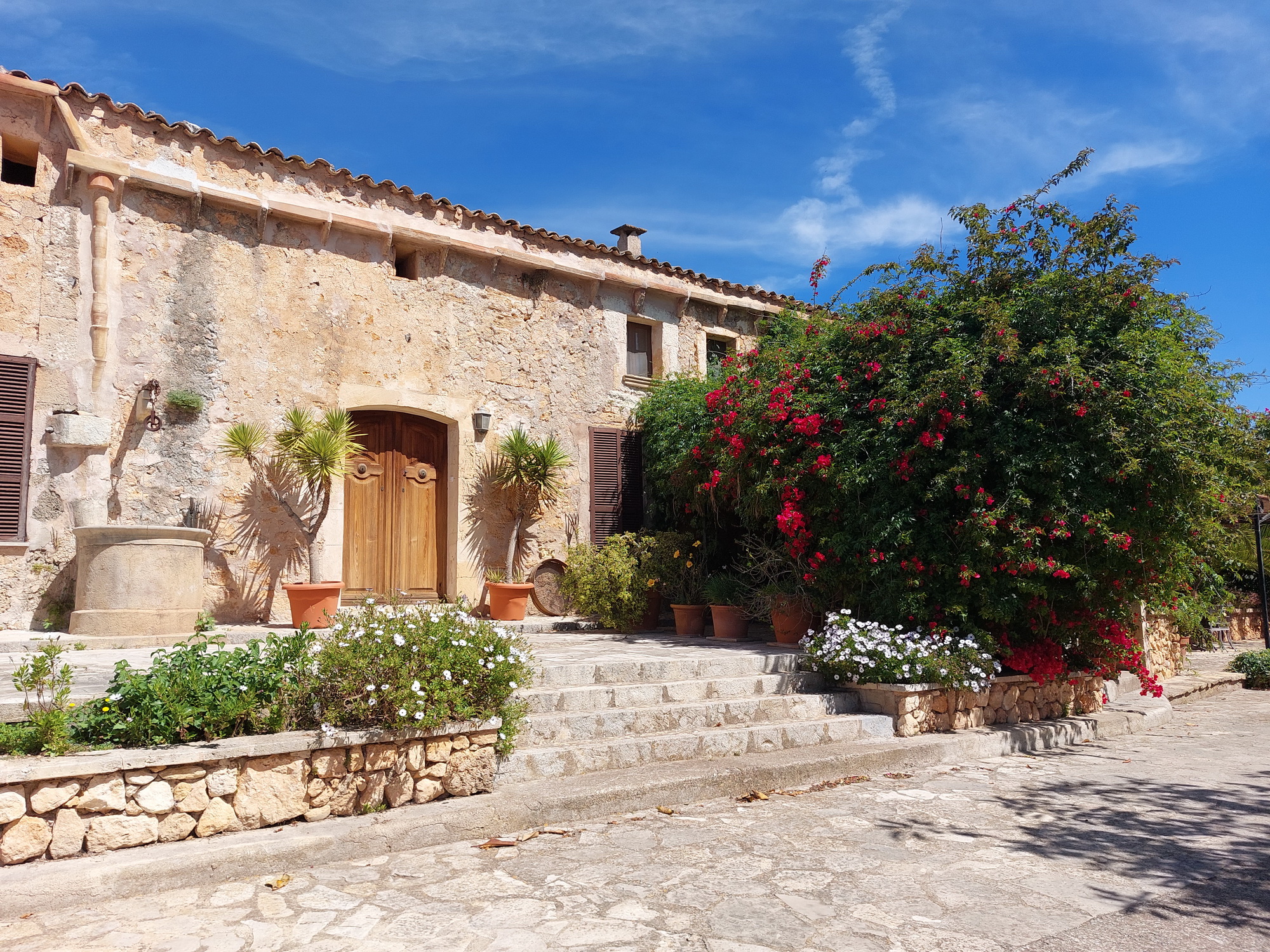 Finca Llevant: Mallorca in all its diversity Accomodation