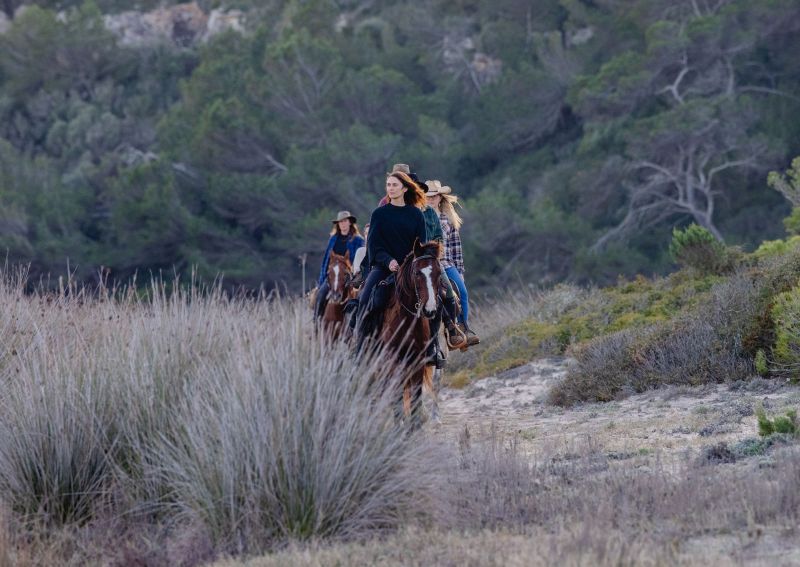 Finca Llevant: Mallorca in all its diversity