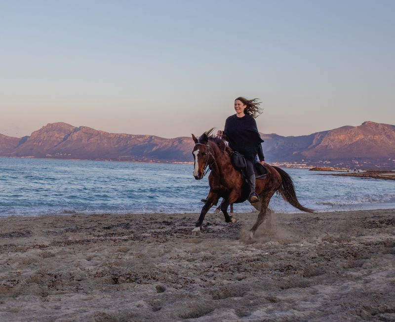 Finca Llevant: Mallorca in all its diversity