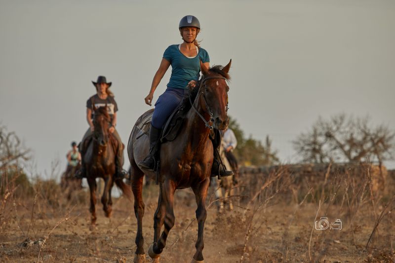 Finca Llevant: Mallorca in all its diversity