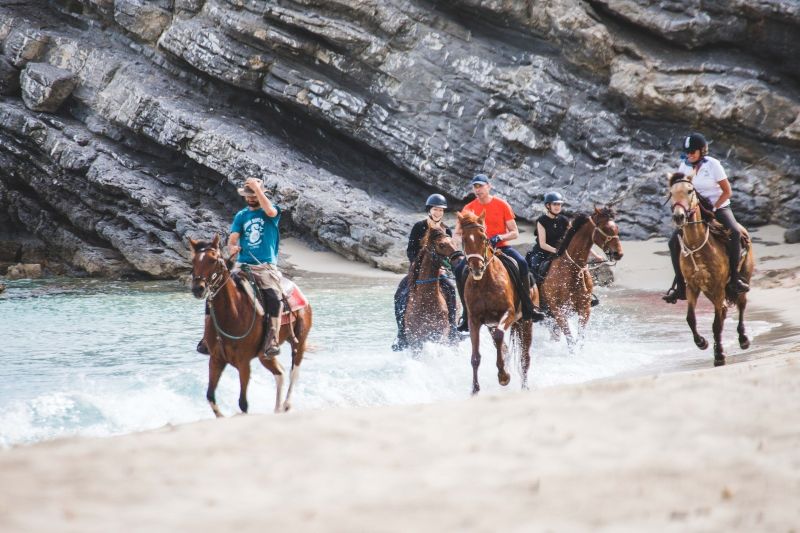 Finca Llevant: Mallorca in all its diversity