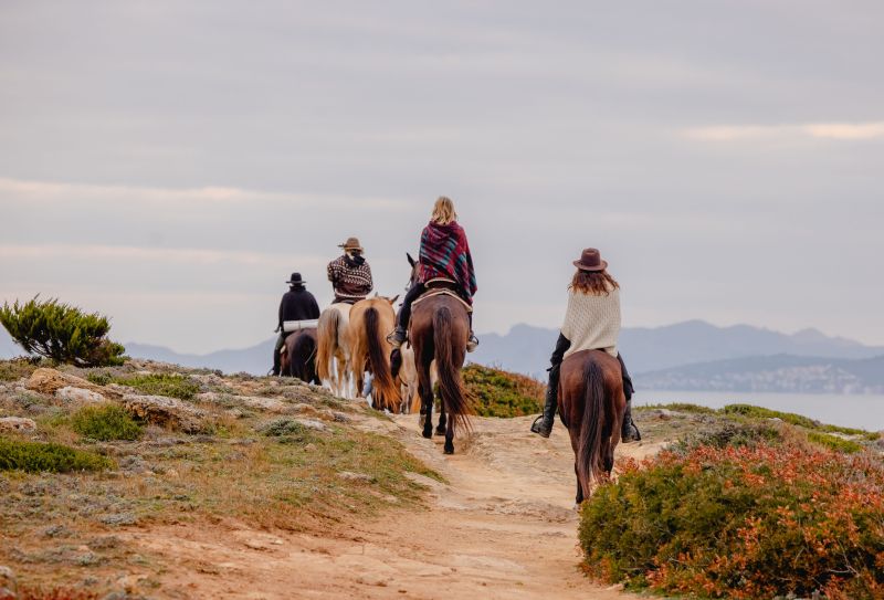 Finca Llevant: Mallorca in all its diversity