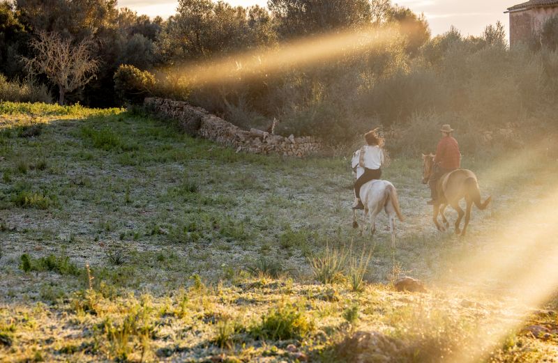 Finca Llevant: Mallorca in all its diversity