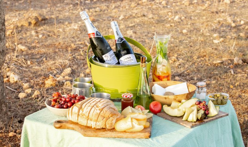 Finca Llevant: Mallorca in all its diversity