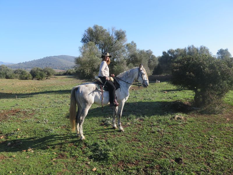 Finca Llevant: Mallorca in all its diversity
