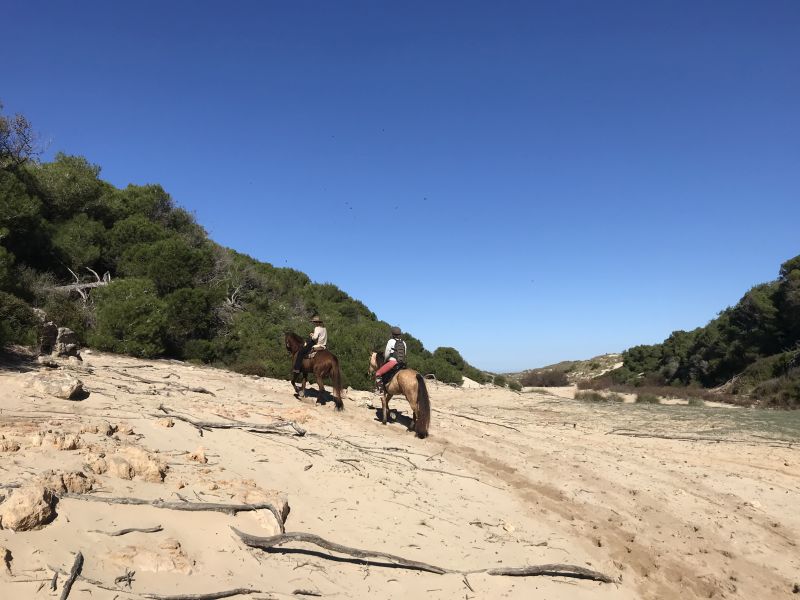 Finca Llevant: Mallorca in all its diversity