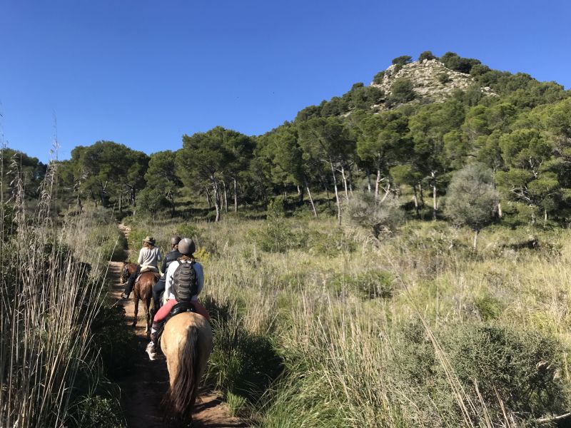 Finca Llevant: Mallorca in all its diversity