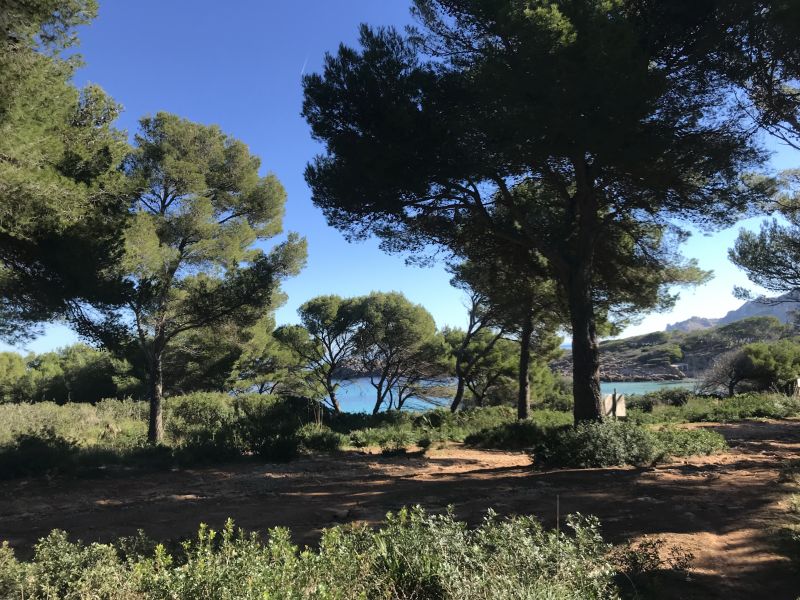 Finca Llevant: Mallorca in all its diversity