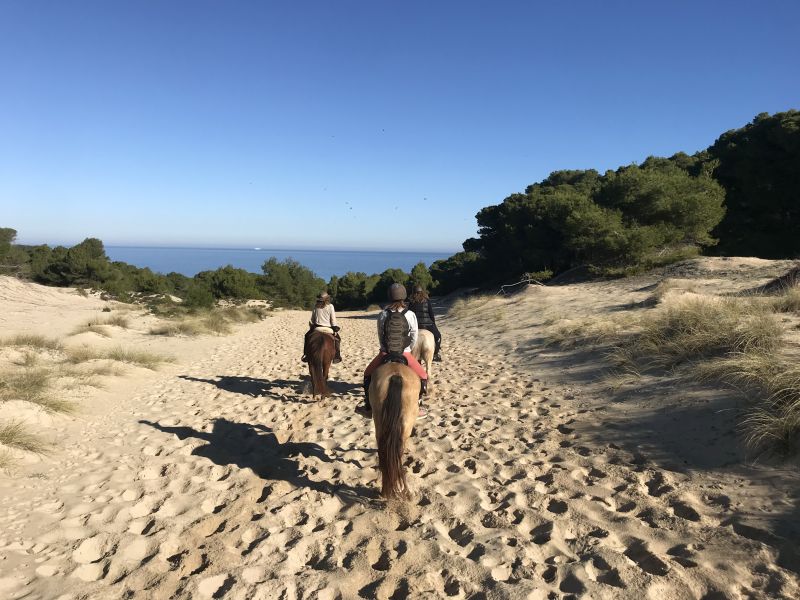 Finca Llevant: Mallorca in all its diversity