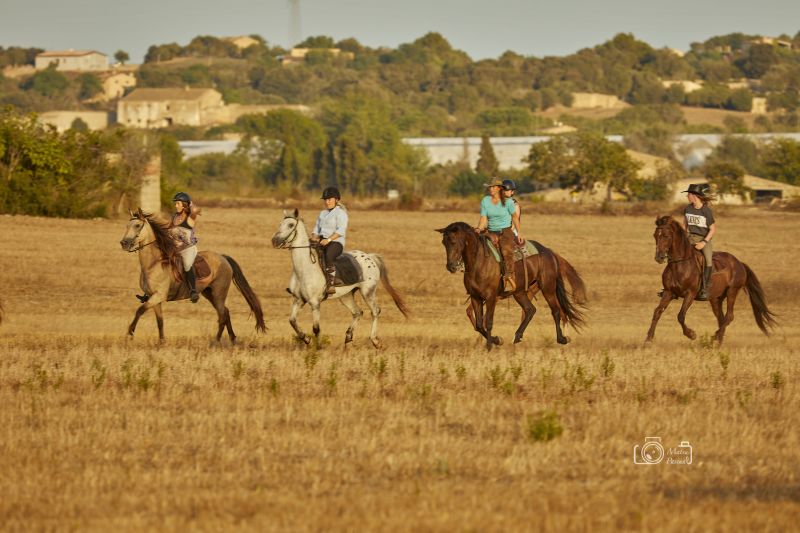 Finca Llevant: Mallorca in all its diversity
