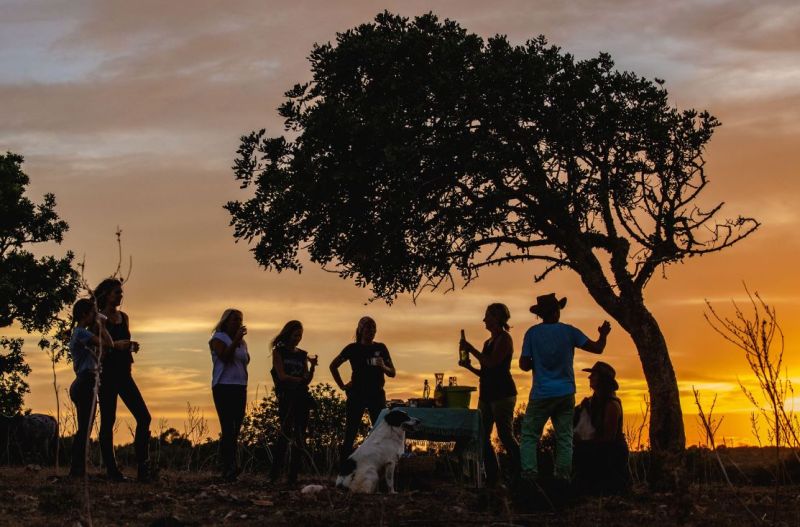 Finca Llevant: Mallorca in all its diversity