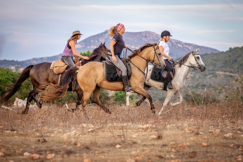 Finca Llevant: Mallorca in all its diversity