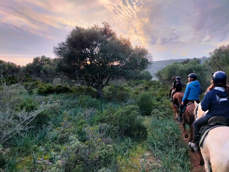 Finca Llevant: Mallorca in all its diversity