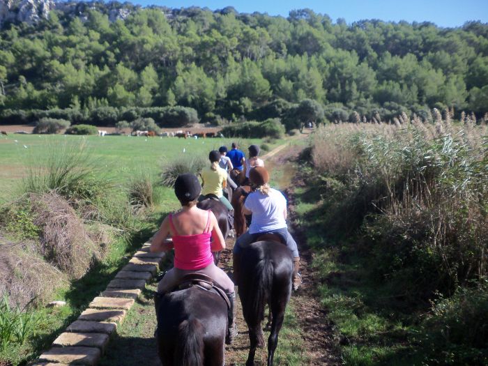 Menorca Star Rides with Comfort