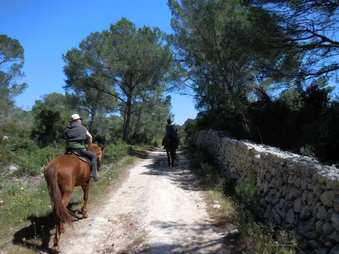 Menorca Star Rides with Comfort
