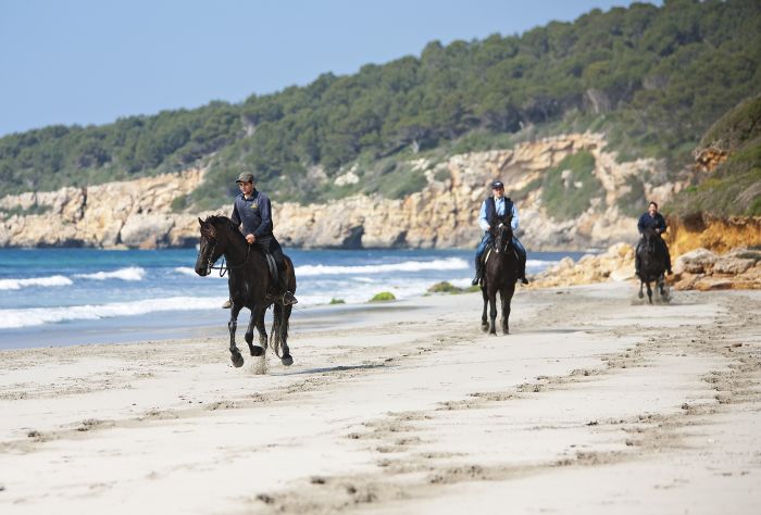 Menorca Star Rides with Comfort