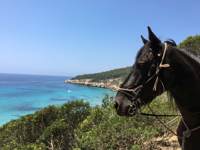 Menorca Star Rides with Comfort