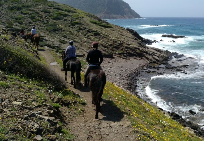 Menorca Star Rides with Comfort
