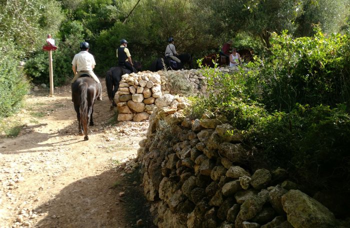 Menorca Star Rides with Comfort