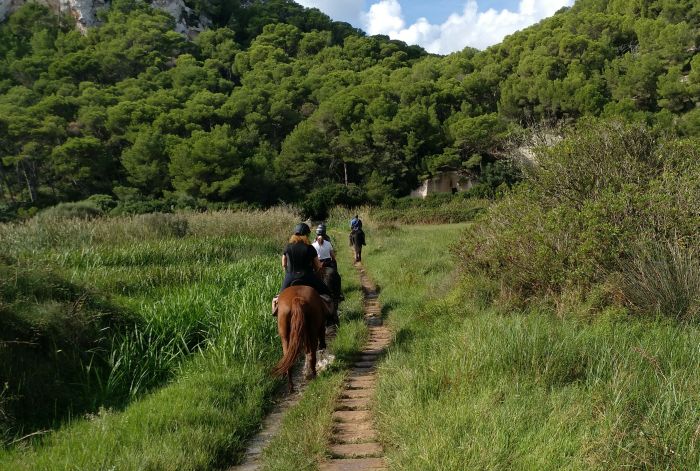 Menorca Star Rides with Comfort