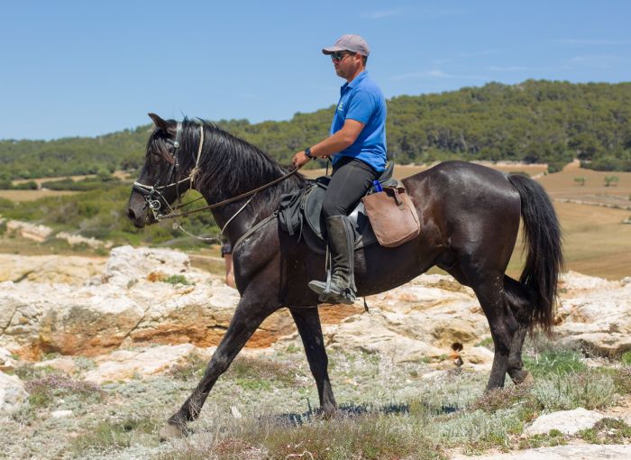 Menorca Star Rides with Comfort