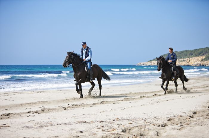 Menorca Star Rides with Comfort