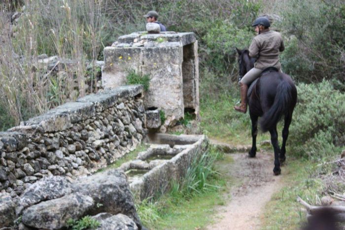 Menorca Star Rides with Comfort