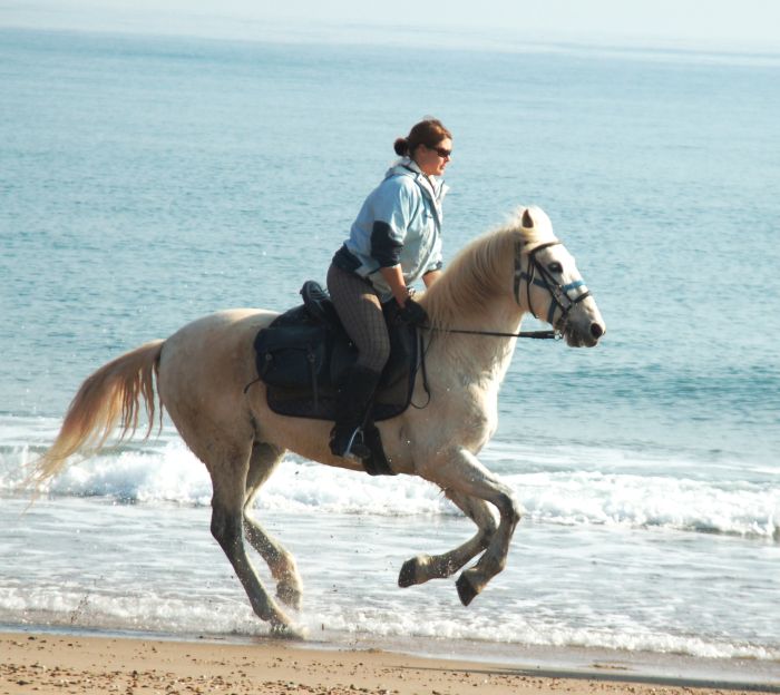 From the mountains to the sea & Besalu medieval ride