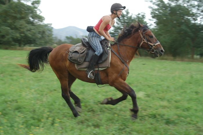 From the mountains to the sea & Besalu medieval ride