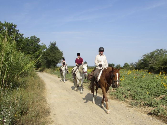 From the mountains to the sea & Besalu medieval ride