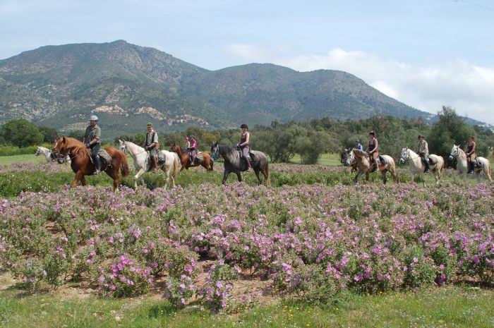 Costa Brava Star Rides