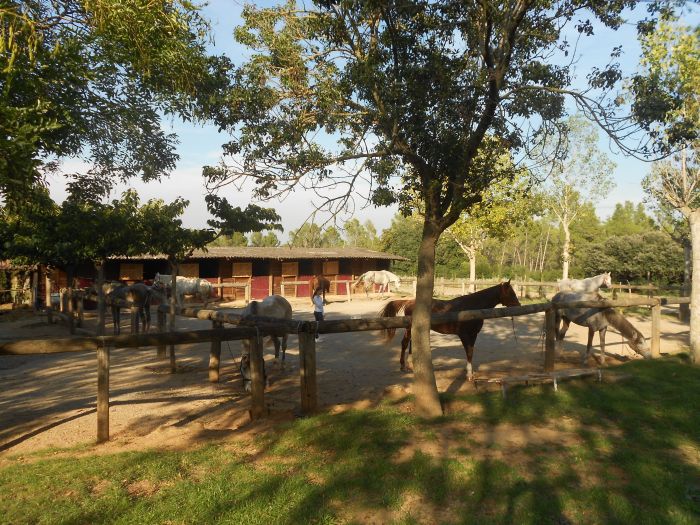 Costa Brava Star Rides