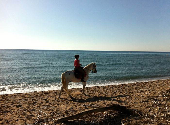 Catalonia in gallop