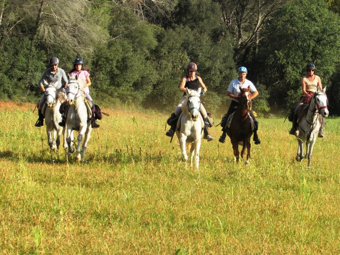 Catalonia in gallop