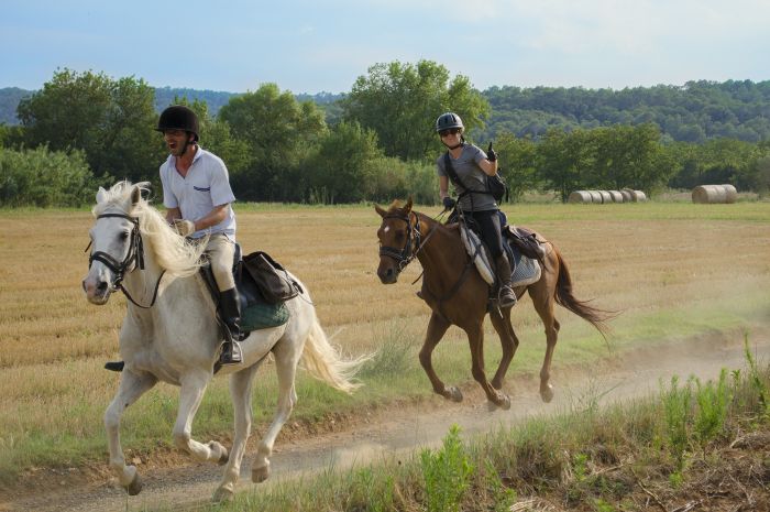Catalonia in gallop