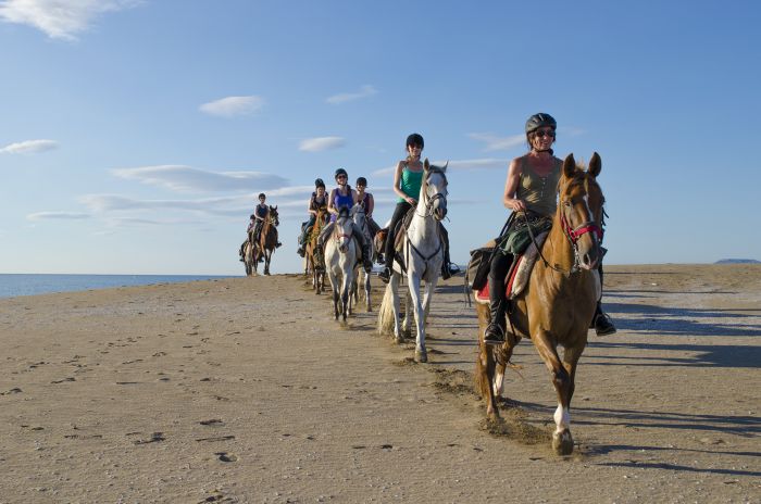 Catalonia in gallop