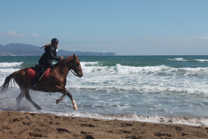 Catalonia in gallop