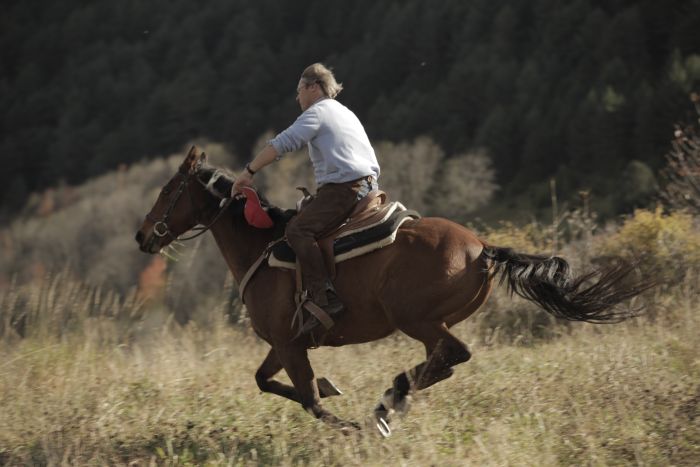Catalonia in gallop