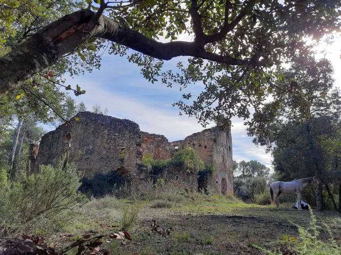 Costa Brava Trail