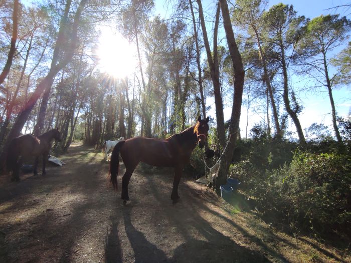 Costa Brava Trail