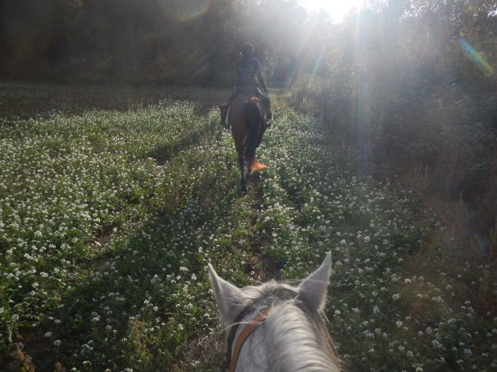 Costa Brava Trail