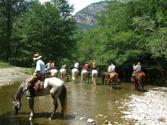 Pyrenees Cattle Drive